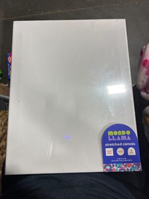 Mondo Llama 11" x 14" Stretched Canvas 5-Pack — Big Savings Outlet Mesa AZ