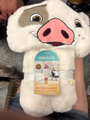 Disney Moana 2 Pua Super Soft Hooded Blanket, 30" x 50" — Big Savings Outlet Mesa AZ