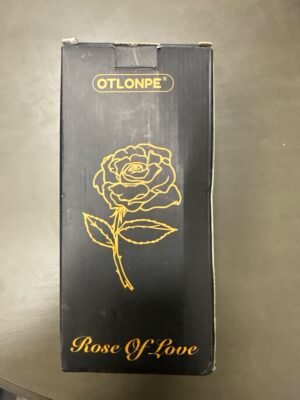 OTLONPE Rose Of Love Light-Up Decorative Rose — Big Savings Outlet Mesa AZ