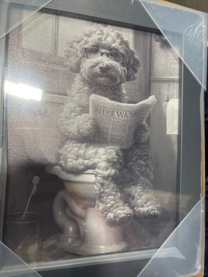 Scanned item DOG BATHROOM FRAME — Big Savings Outlet Mesa AZ