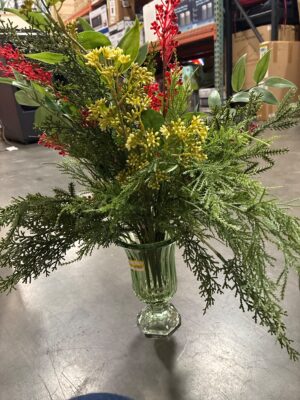 Scanned item plant — Big Savings Outlet Mesa AZ
