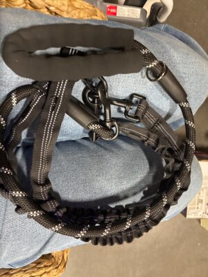 Double Dog Leash — Big Savings Outlet Mesa AZ