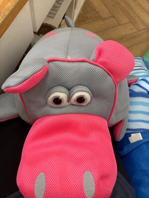 Large Mesh Hippo Pool Float Toy — Big Savings Outlet Mesa AZ