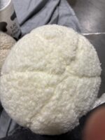 Pillow — Big Savings Outlet Mesa AZ