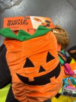 Plush Pumpkin Halloween Dog and Cat Costume - S - Boots & Barkley™ — Big Savings Outlet Mesa AZ