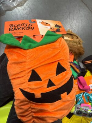 Plush Pumpkin Halloween Dog and Cat Costume - S - Boots & Barkley™ — Big Savings Outlet Mesa AZ