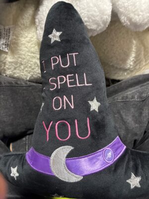 Plush Witch Hat with 'I Put A Spell On You' Embroidery — Big Savings Outlet Mesa AZ
