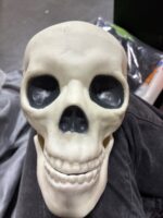 SKULL HEAD — Big Savings Outlet Mesa AZ