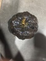 Small Halloween Ceramic Pumpkin Black - Threshold™ — Big Savings Outlet Mesa AZ