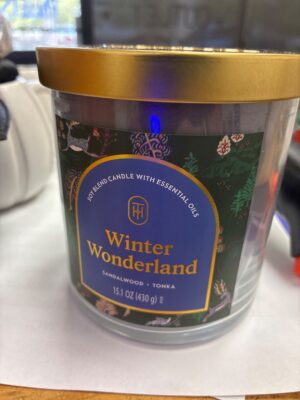 Threshold Winter Wonderland Sandalwood & Tonka Soy Blend Candle 15.1 oz — Big Savings Outlet Mesa AZ